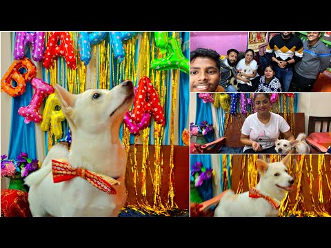 Bruno's Birthday | My Buddy's 1st Birthday Celebration | Dog's Birthday Celebration | Dipa Mazumdar