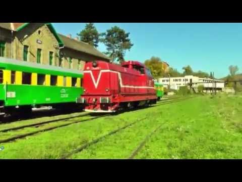 LDE1250   040 DF 69 0003 9 la Manevra Shunting in Gara Anina Station - HD