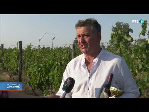 Vinogradar Zoran Malbašić iz Novih Kozaraca se priprema za berbu