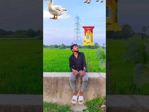 tu radha meri main shyam vs duck dog vfx #trendingsong #krishna#youtubeshorts