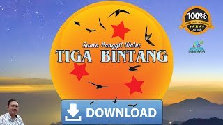 Download lagu Inilah SP TIGA BINTANG, Bikin Walet Datang Bergerombol Seperti Bintang Dilangit mp3 Download lagu Inilah SP TIGA BINTANG, Bikin Walet Datang Bergerombol Seperti Bintang Dilangit mp3