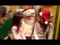 SANTALAND 2013