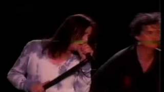 Jimmy Page and The Black Crowes - (23/23) whole lotta love.mpg