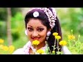 Malligaiye Malligaiye மல்லிகையே மல்லிகையே Tamil Songs Periya Vee