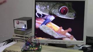 10 Minute Amiga Retro Cast Episode 21 - GBS-8220 review