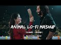 Animal Mashup | Satranga | Pehle Bhi Mein | Non Stop Heart Touching Lofi Mashup