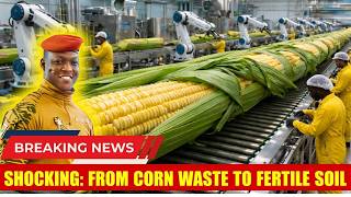 Transforming Corn Waste into Fertile Soil: A Breakthrough Process in the Burkina Faso Desert