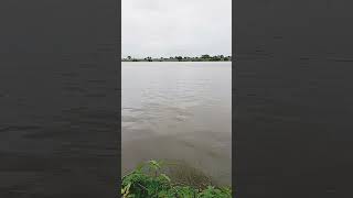 Download lagu 30 July 2025 mp3