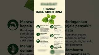 Download lagu Manfaat daun sirih cina #fypyoutube #shorts mp3