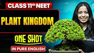 PLANT KINGDOM | Class 11th ONE SHOT
