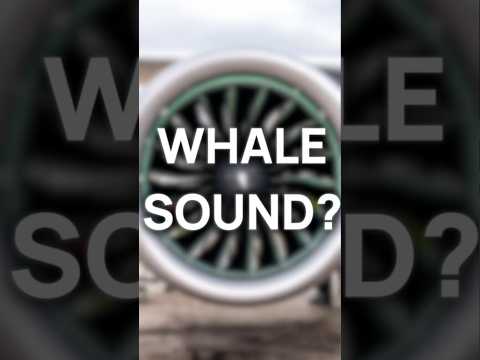 Why do some jet engines sound like whales?
