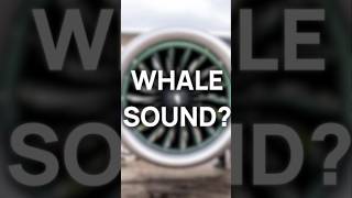 Download lagu Mengapa beberapa mesin jet terdengar seperti paus? mp3