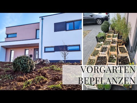400 Pflanzen für den Vorgarten?! 😱 Pflanzen Online bestellen? New Garden Baumschule| Die Siwuchins