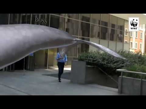 Una balena nuota in Piazza Gae Aulenti