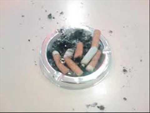 Sek feat Liarza  neta  Allah Zeval vermesin 2010