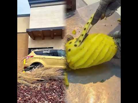 My Girlfriend is OFFICIALLY Insane