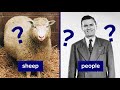 Why We Still Haven T Cloned Humans It S Not Just Ethics