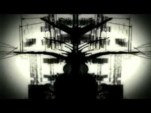 The Twilight Sad - And She Would Darken The Memory