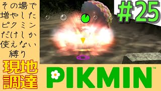 その日増やしたピクミンしか使えない縛り【現地調達ピクミン】#25