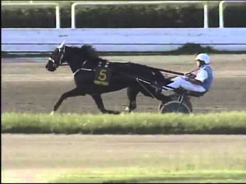 Trotto 25/05/2014 Corsa 8