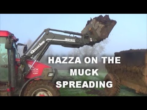 HAZZA ON THE MUCK SPREADING
