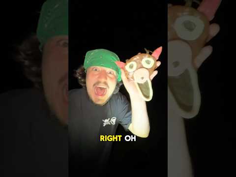 Candy 99 Nights in the Forest Deer!