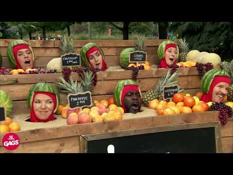 Il est clairement coupable | Juste Pour Rire Les Gags