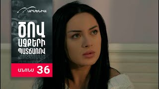 Ծով աչքերի պատճառով, Սերիա 36, Անոնս / Tsov achqeri patcharov