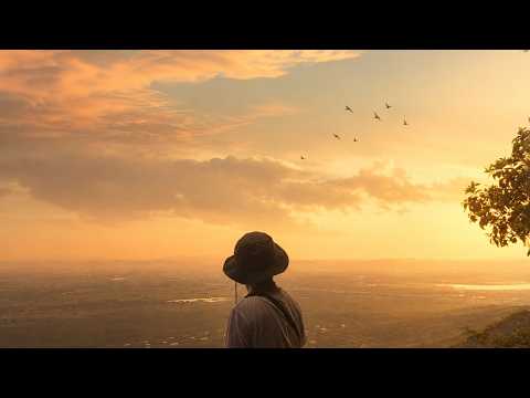 เพลง ปีกน้อย ของ นายสว่าง ใน YouTube