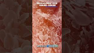 Download lagu propaganda lagu genjer-genjer #g30spki #lagu #sejarah mp3