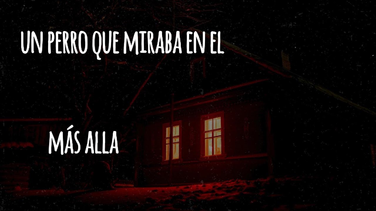 "El Perro que Miraba a la Oscuridad: Un Secreto del Más Allá" #relatoparanormal #dog #fantasmas