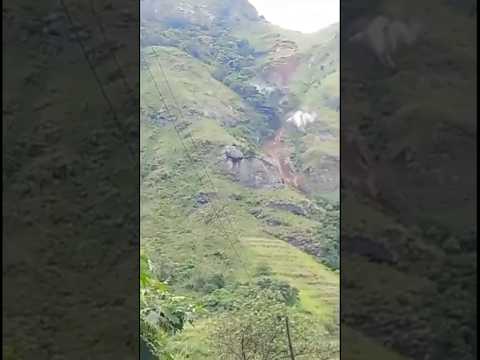 බලන් ඉද්දි නායෙ යන්නෙ 😭💔🥺 #viral #trending #ganwatura #sade #flypシ #srilanka #nayeyanwa