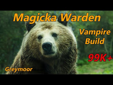 Magicka Warden PvE Build 99K+ (Greymoor)