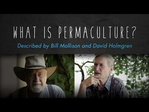 What is Permaculture? By Bill Mollison, David Holmgren