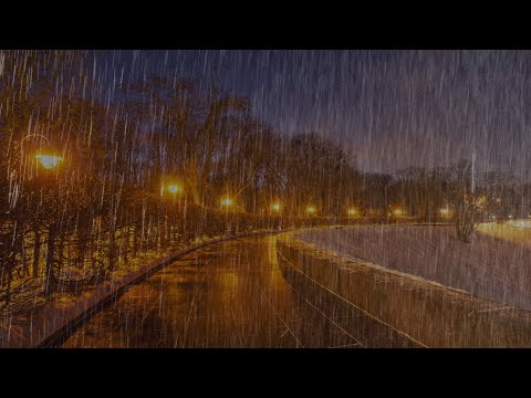 Schlafen Sie sofort mit Regen Naturgeräusche die den Park nachts bedecken - Regengeräusche