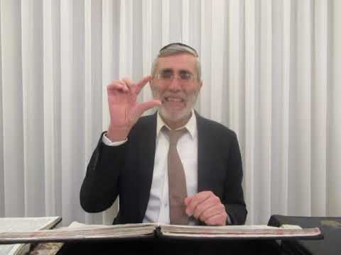 הרב יהושע ביבי - תשפ"ו - פסח - שיעור מס'' 004 - ק. שמ''ש בע''ח ח''ב דף נ''ו ע''ג אותיות א' ב'