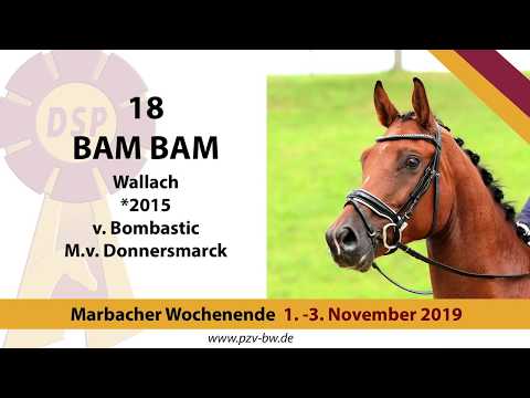 18 Bam Bam v. Bombastic - Donnersmarck