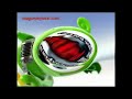 Klaskyklaskyklaskyklasky Gummy Bear Song Version In Super Duper Reversed Low Pitched FIXED