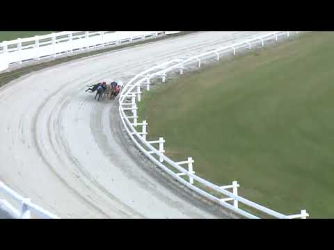 2022.12.17. 08. futam - Mester Tréner Díj