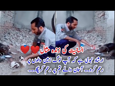 Dog Moms Ask People to Help Save Their Puppies | only police officer helps