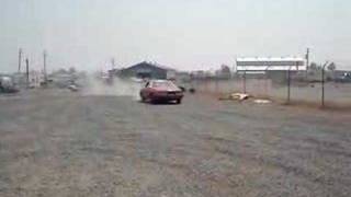 Ray and the mighty cougar