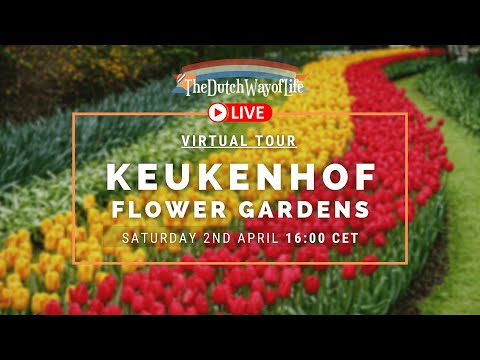 Keukenhof Dutch Flower Gardens 2022 Tour