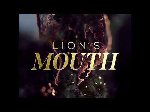 Lions Mouth // Bright November