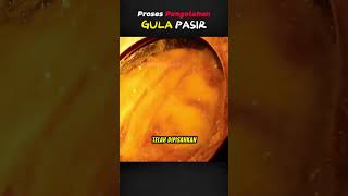 Download lagu Proses Pengolahan Gula Pasir  #kuliner #food #faktamakanan #fakta #facts #viral mp3