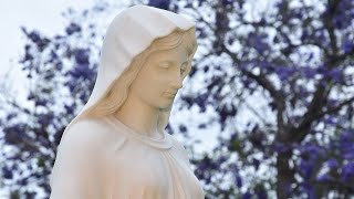 Joan Baez - Ave Maria  [HD]