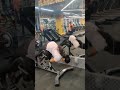 My Gym Workouts