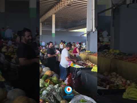 FEIRA DE MACAÚBAS NA BAHIA