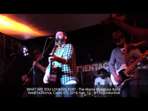 WHAT ARE YOU LOOKING FOR? - The Mama Bluegrass Band live@1e35circa, Cantù (IT), 2016 mar. 12