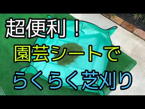 園芸 芝刈り