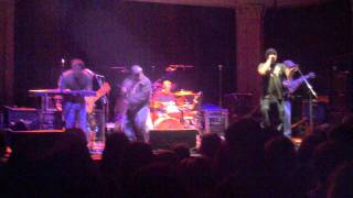 Shrub at Newport Rolling Rock